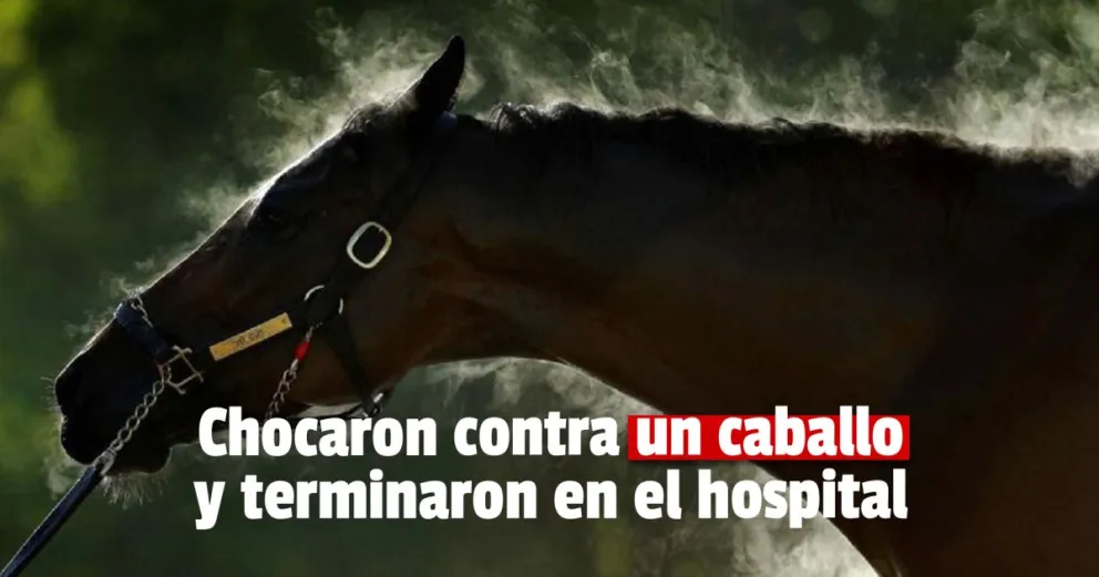 Madre e hijo embistieron a un caballo y terminaron hospitalizados    