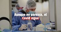 Covid en Argentina: confirman 4.482 nuevos casos y otras 42 muertes en los últimos 7 días