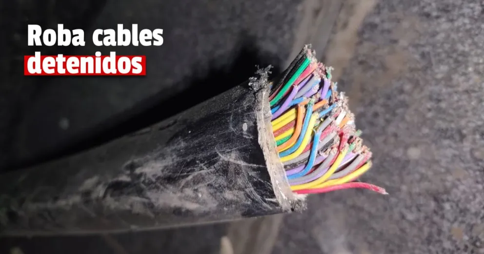 Albardón: detienen a dos ladrones robando el cableado de Telefónica Argentina S.A