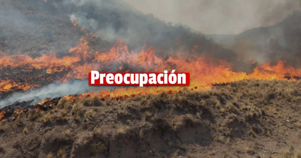 Valle Fértil: trabajan para controlar los incendios forestales