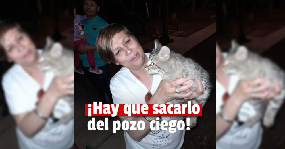 Emocionante rescate de un gatito que había caído a un pozo