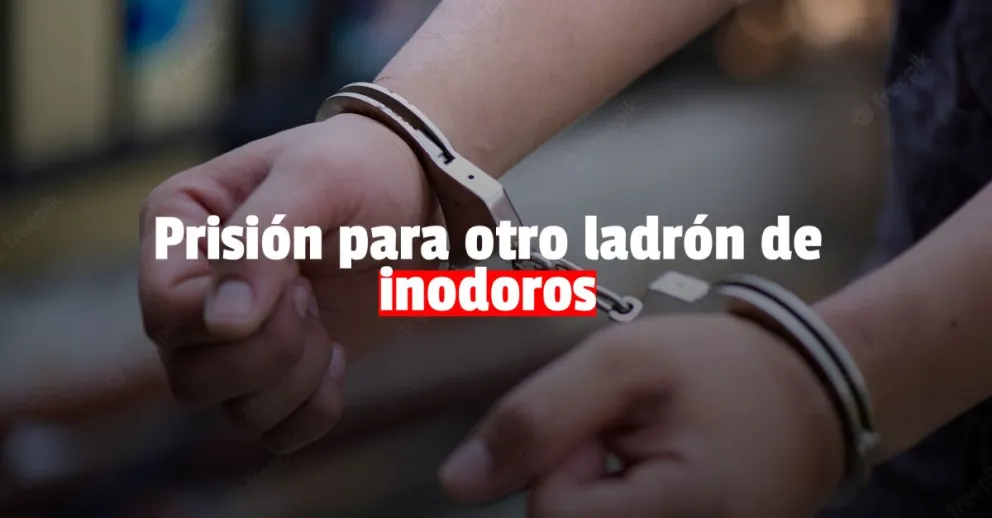 Un ladrón irá a prisión por robar un inodoro y una bicicleta