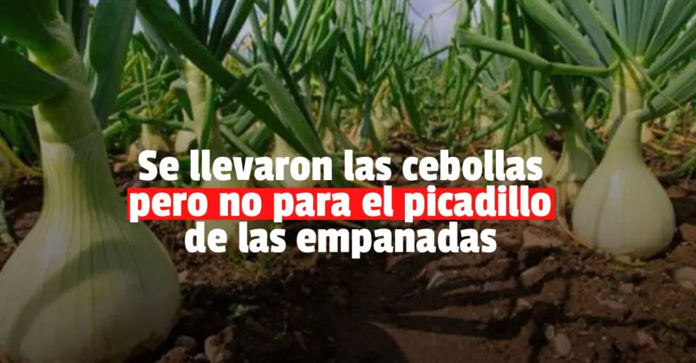 Detuvieron a dos jóvenes por meterse a robar cebollas en una finca