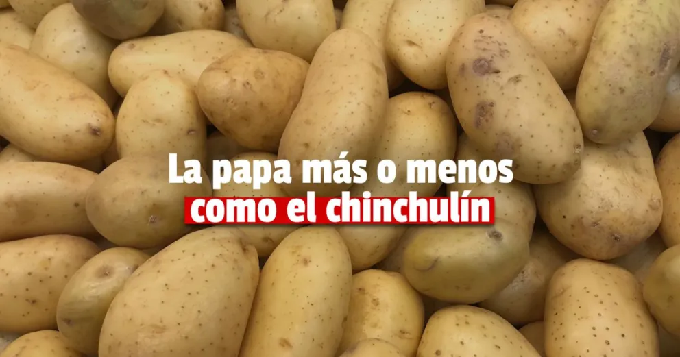 ¿Cuánto subió la canasta básica para Amas de Casa?