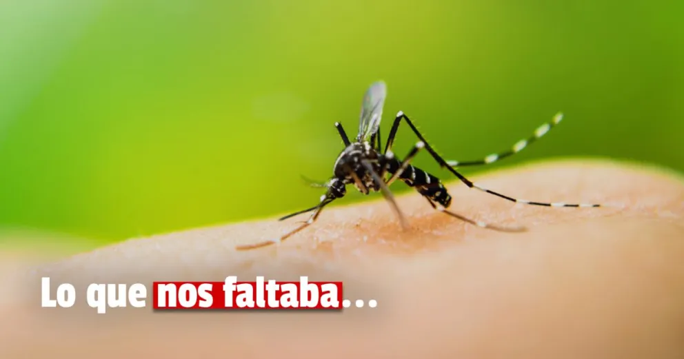 Confirmaron un caso importado de paludismo en San Juan