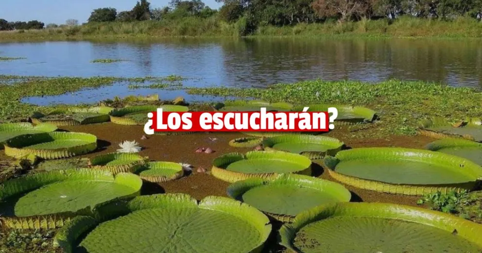 Ley de Humedales: convocarán a los gobernadores 