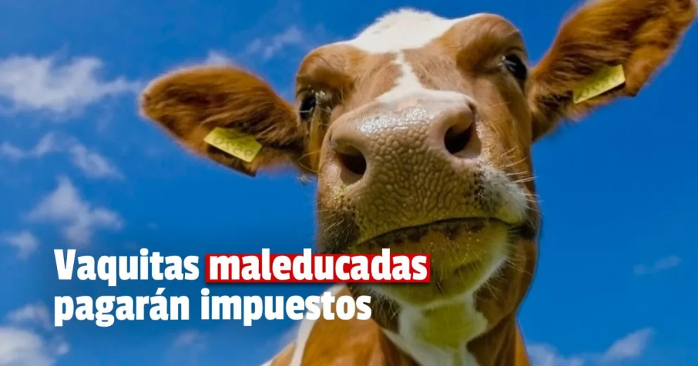 Nueva Zelanda lanza un impuesto al eructo de vacas y ovejas