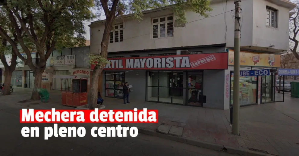 Le robó el celular a una mujer en una tienda y por las cámaras de seguridad lograron detenerla