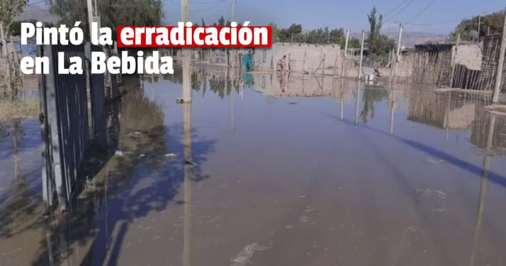 En noviembre erradicarán los asentamientos de La Bebida 