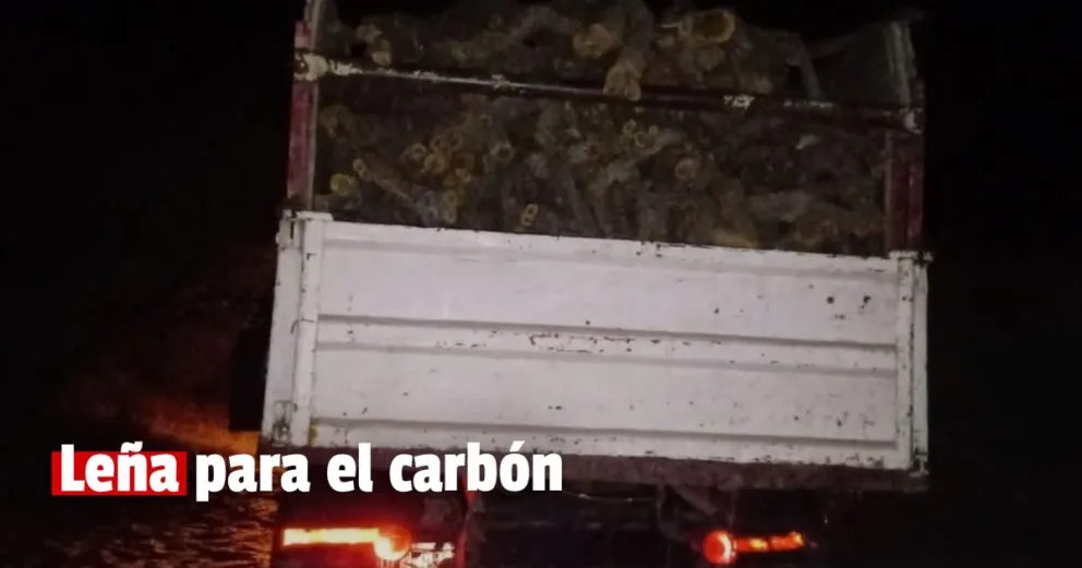 Transportaban 5 mil kilos de leña de una planta en extinción