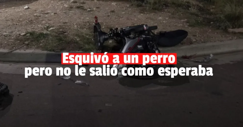 Iba en moto, esquivó a un perro pero se dio un golpazo