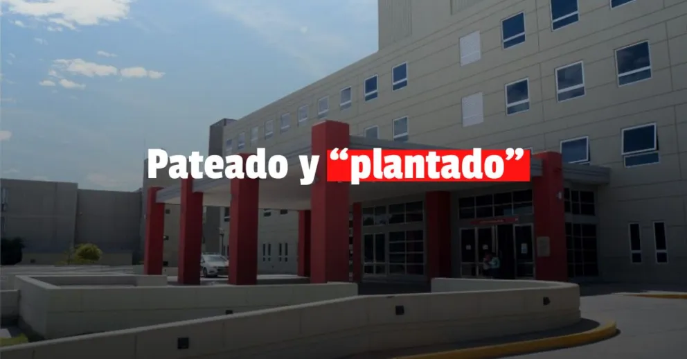 Lo fueron a auxiliar porque lo había pateado un caballo y le encontraron un mini vivero de marihuana