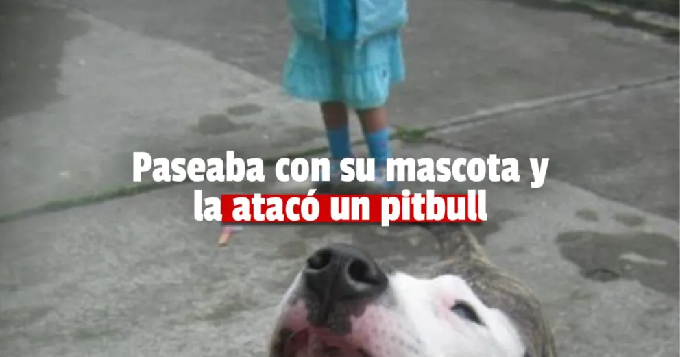 Una mujer caminaba junto a su perro caniche cuando fueron atacados por un pitbull