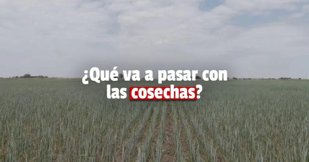 Tres provincias tendrán pérdidas productivas por las sequías 