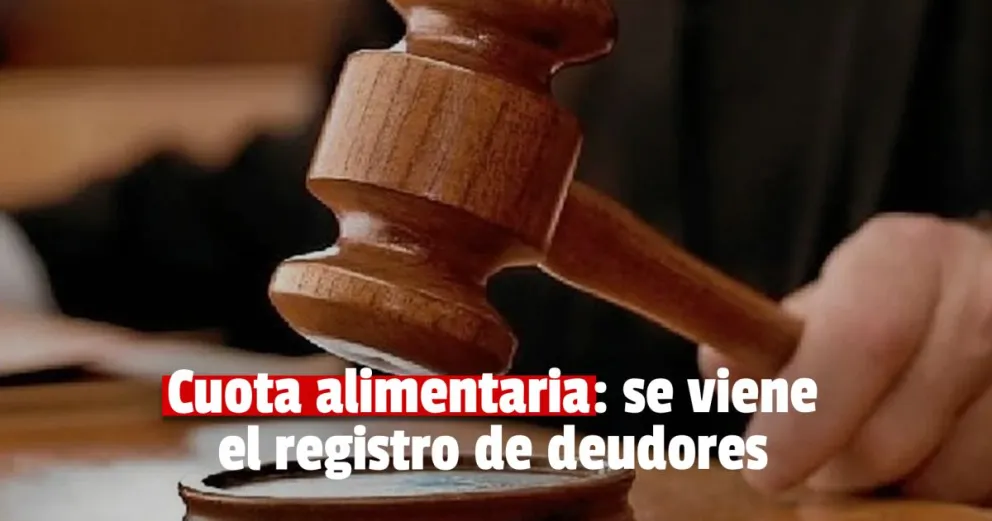 La creación del Registro de Deudores Alimentarios obtuvo media sanción en la Cámara de Diputados