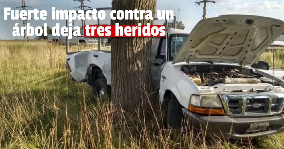 Zonda: una camioneta impactó de frente contra un árbol