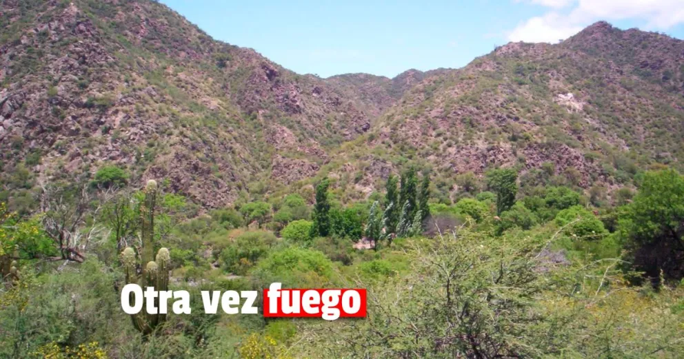 Valle Fértil nuevamente víctima de los incendios forestales