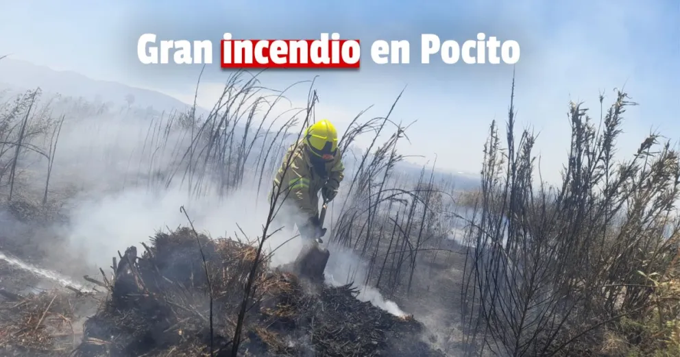 Pocito: bomberos trabajan en un gran incendio para evitar que se propague 