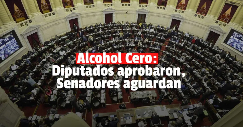 Alcohol Cero: Diputados le dio media sanción al proyecto