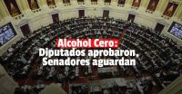 Alcohol Cero: Diputados le dio media sanción al proyecto
