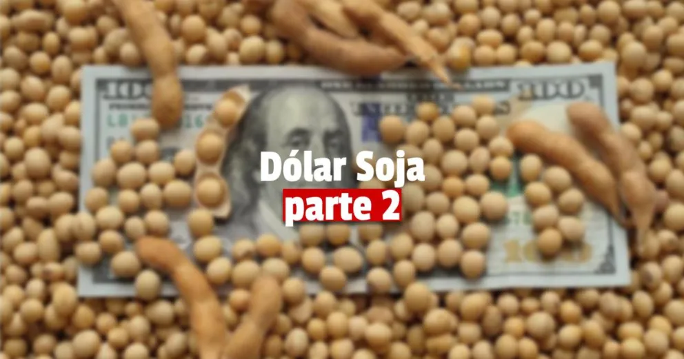 Dólar Soja II: las razones que apuraron al Gobierno para volver a seducir al agro