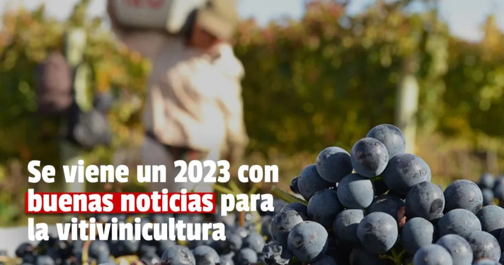 Massa eliminará las retenciones al vino por 90 días el año que viene