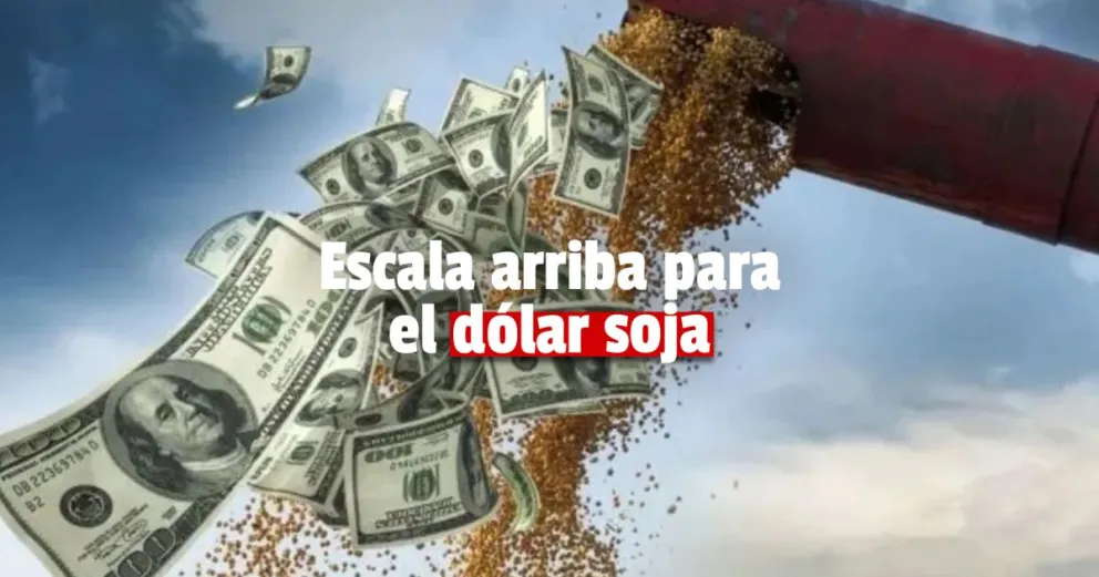 A dos días del dólar soja 2, ya se comercializaron más de 800 mil toneladas 