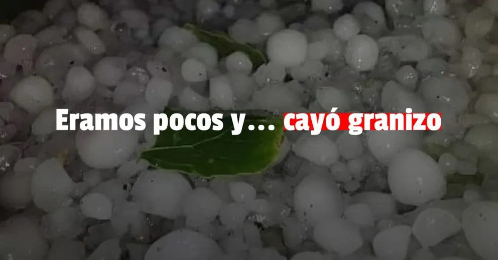 Varias zonas de Jáchal fueron afectadas por el granizo 