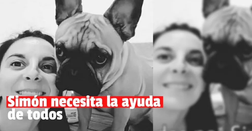 Explosión en Trinidad: piden ayuda para el tratamiento del perro de la mujer fallecida