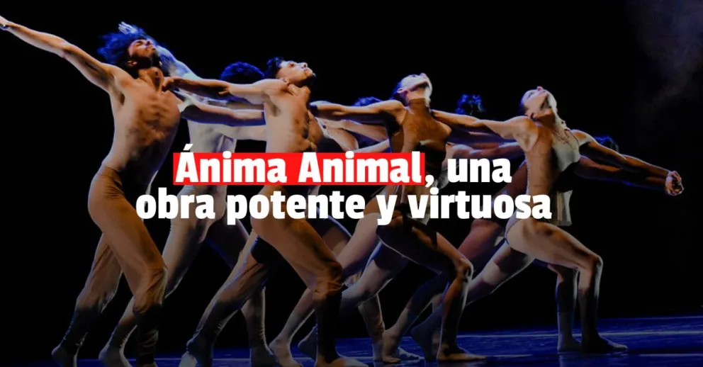 Ánima Animal la obra desafiante que brilla en Teatro del Bicentenario 