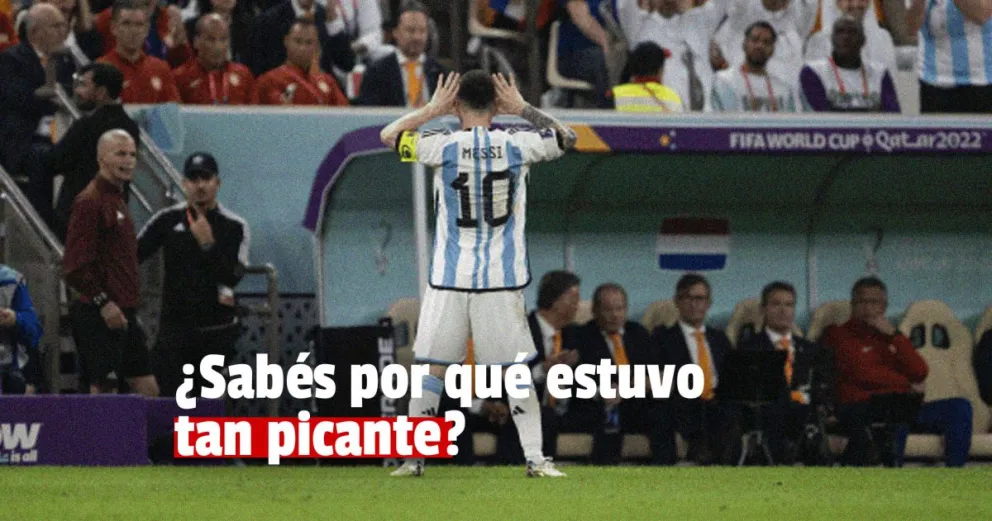 El día de furia de la Selección Argentina: por qué reaccionaron contra el DT neerlandés y el equipo