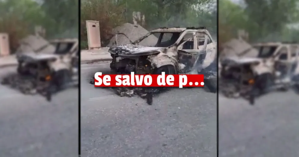 Se le atravesó un perro, chocó y la camioneta se prendió fuego