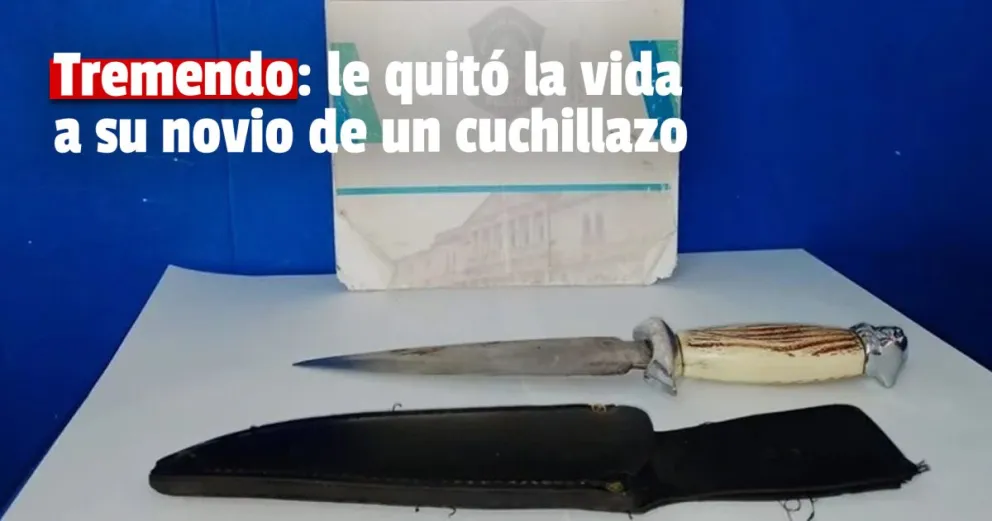 Mató a su novio de una puñalada