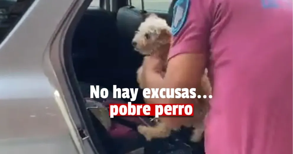 Policía debió romper la ventanilla de un auto para sacar a un perro que se encontraba encerrado con 38° de sensación térmica