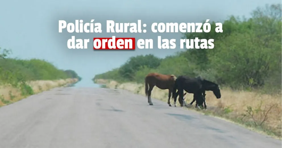 Policía Rural: recapturaron y reubicaron animales en la Ruta Nacional N°20
