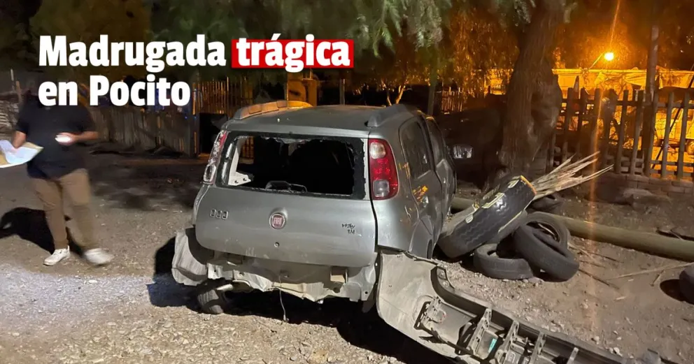 Un conductor chocó contra un árbol y murió 