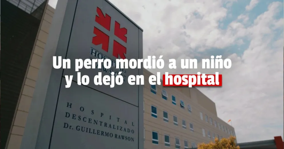 Un perro atacó a un niño de 12 años en Chimbas y quedó herido 