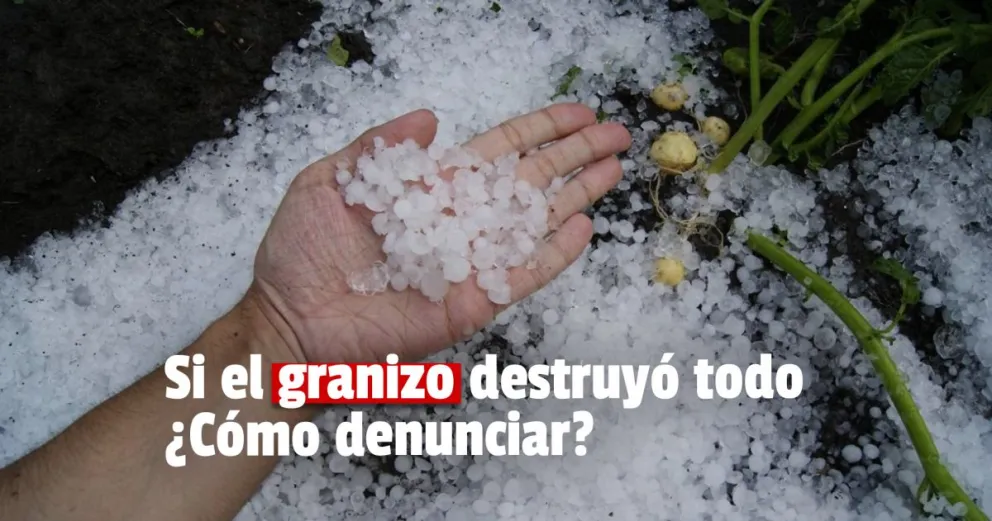 Productores afectados por el granizo pueden realizar la denuncia
