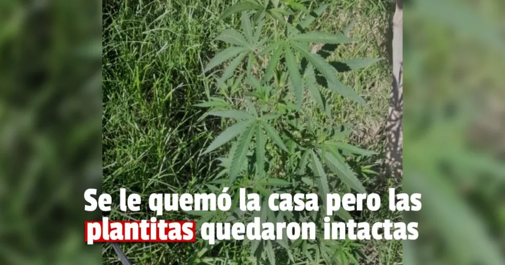 Apagaron un incendio en una casa abandonada y encontraron droga 