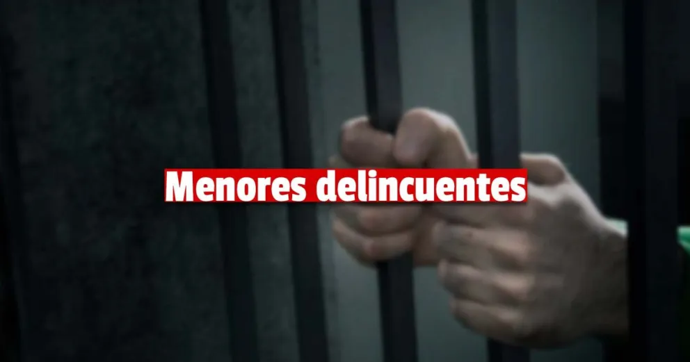 Delincuentes juveniles robaron un televisor de un domicilio y fueron detenidos 