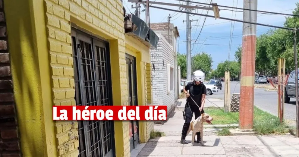 Sola, una agente atrapó un Pitbull que había atacado a otra mascota 
