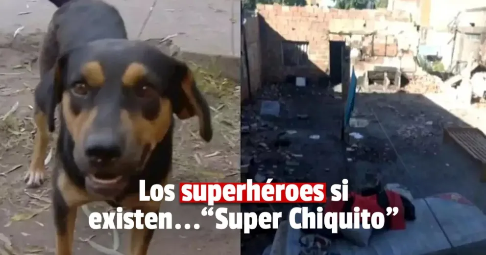 Se prendió fuego la casa y lo salvó su perro "Chiquito"