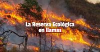 Incendio en la Reserva Ecológica de Buenos Aires