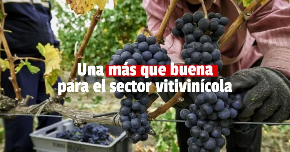 El BID le otorgará un préstamo de U$S 40 millones a Argentina para fortalecer la vitivinicultura 