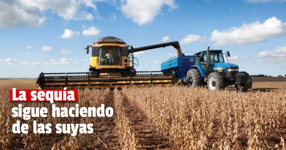 La tercera peor cosecha de soja en los últimos 15 años
