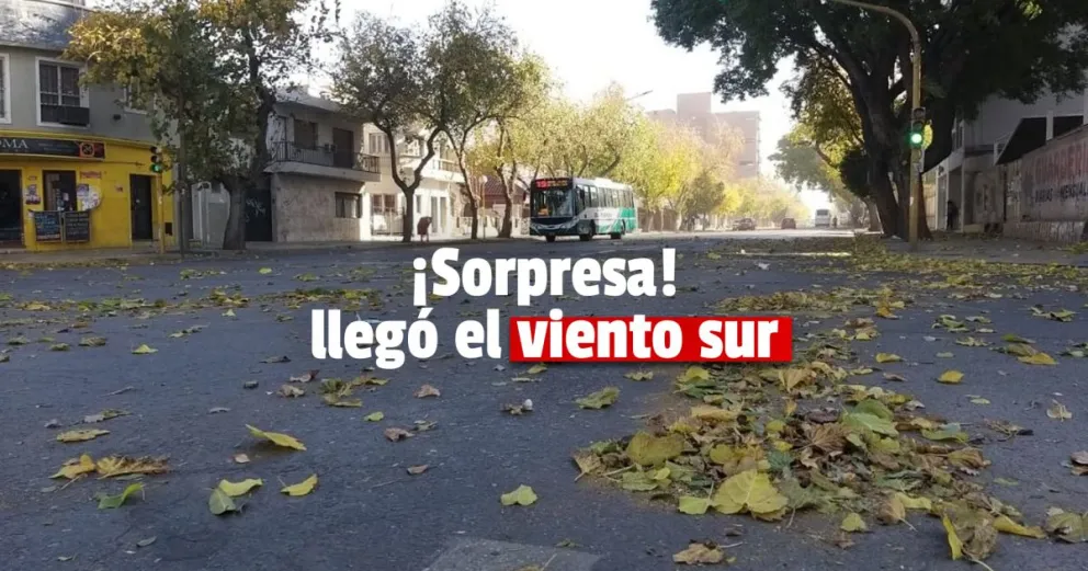 El viento sur llegó sin estar pronosticado y ocasionó algunos daños 