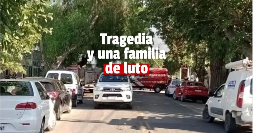 Cayó una rama de gran porte: un hombre fallecido 