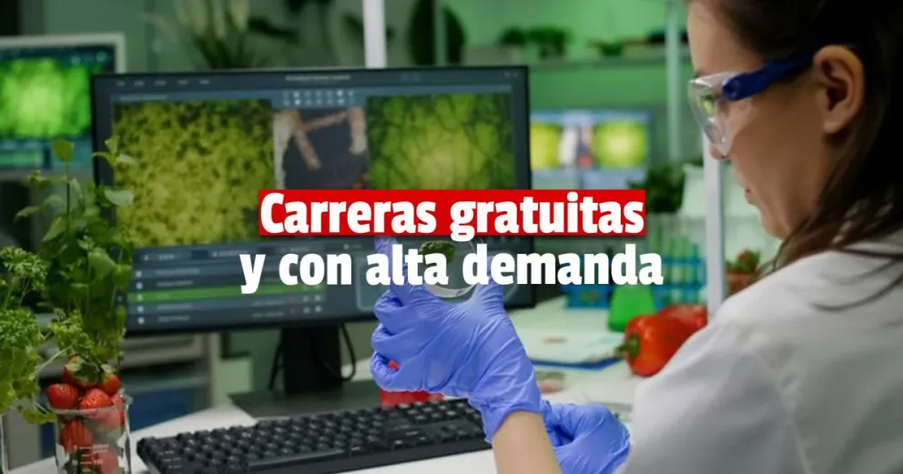 Nivel Superior: crearon nuevas tecnicaturas y profesorados ampliando la oferta educativa