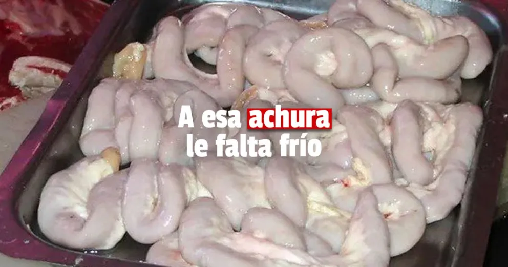 Incautaron 16 mil kilos de achura fuera de la cadena de frío 
