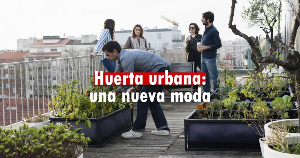 Jardines y huertas en terrazas una actividad que cada día se práctica más